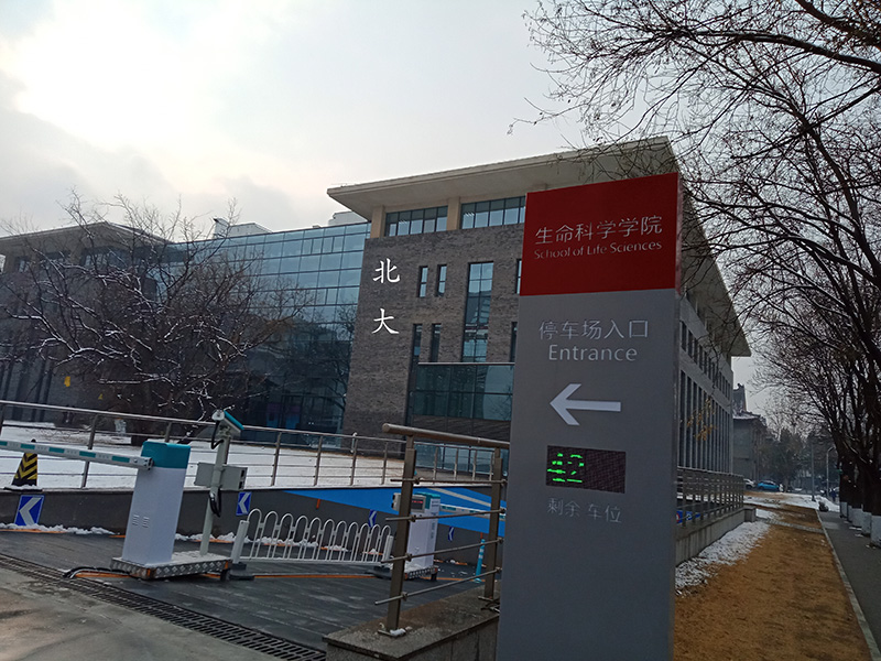 北大生命科學(xué)院